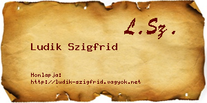 Ludik Szigfrid névjegykártya